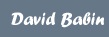 Welcome to davidbabin.ca
